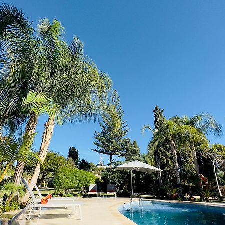 La Pina Verde Estepona Kültér fotó
